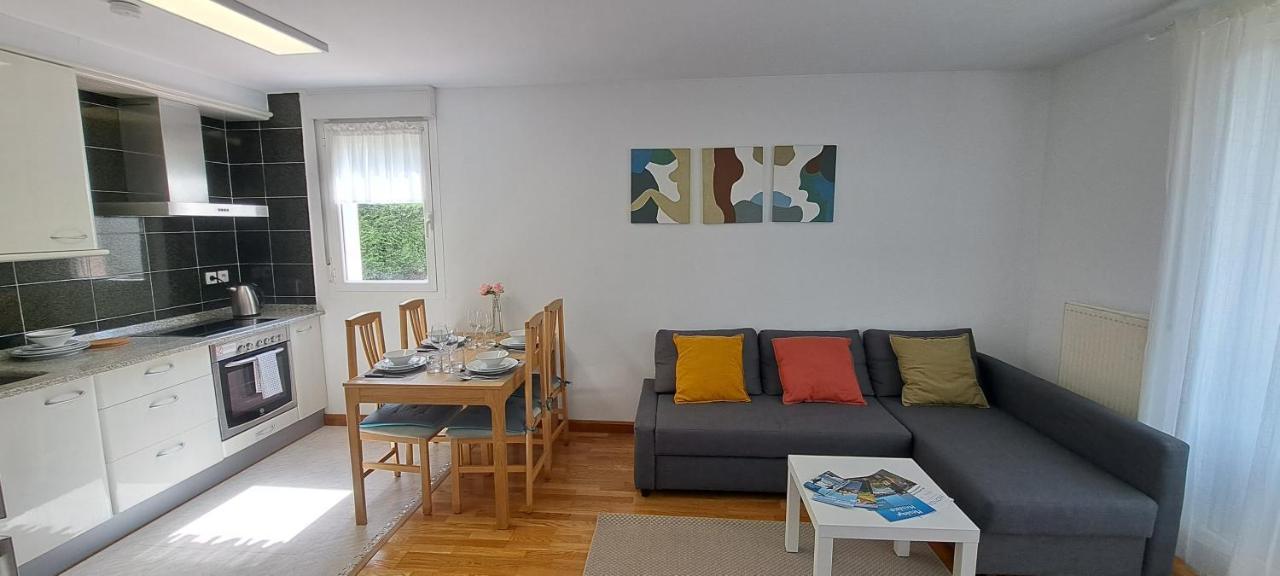 Appartement Lumineux T3 Avec Jardin Privatif A Hendaye - Parking Et Wif Gratuit Ngoại thất bức ảnh